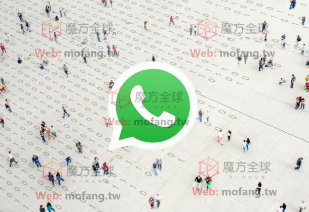 WhatsApp商业号购买的流程和费用说明，WhatsApp号码筛选服务