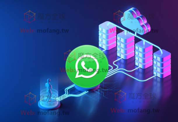 WhatsApp商业号购买的用途和商业案例分享，WhatsApp号码筛选技巧