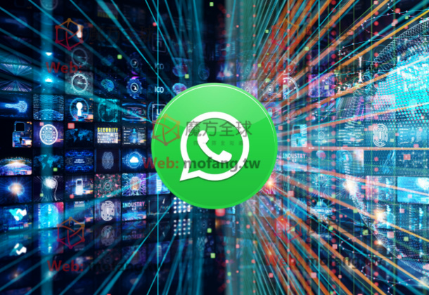 WhatsApp个人号购买和商业号的区别是什么？可以用来群发营销吗？