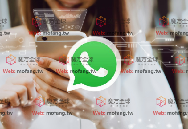 WhatsApp号码群发技巧，搞定群发营销更高效