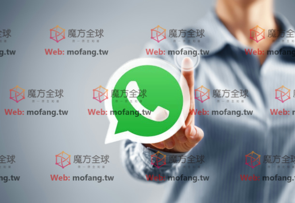 群发营销怎么做？WhatsApp号码群发轻松搞定