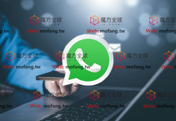 用WhatsApp号码群发提升群发营销效果