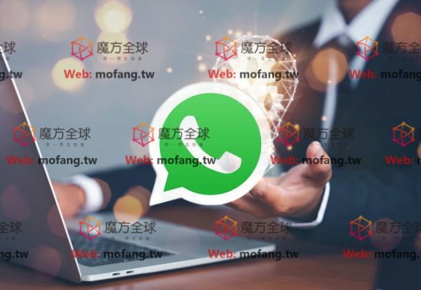 群发营销神器，WhatsApp号码群发快速引流